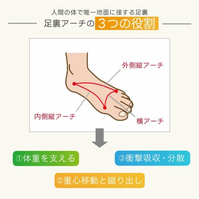 フォームサポートインソール