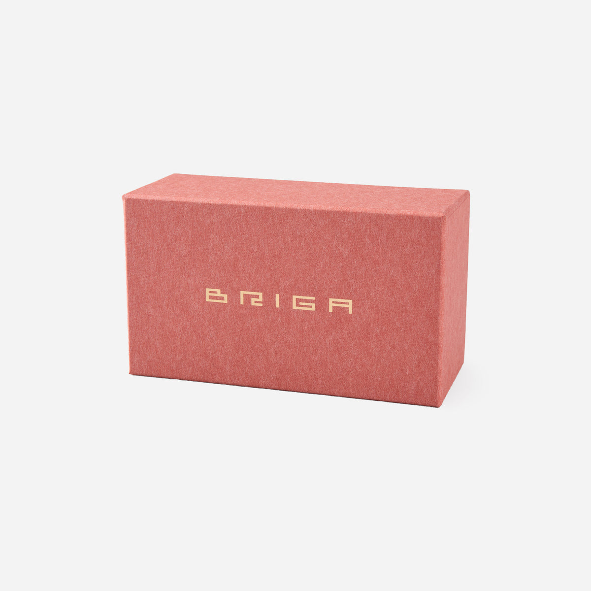 BRIGA バレーブラシ