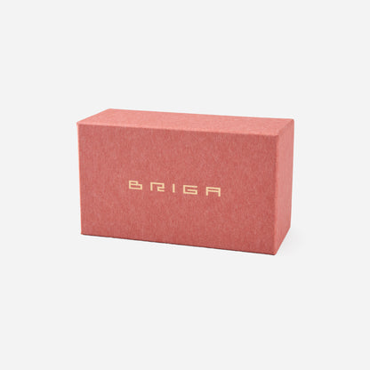 BRIGA バレーブラシ