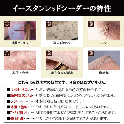 BRIGA シュートゥリー ローファータイプ